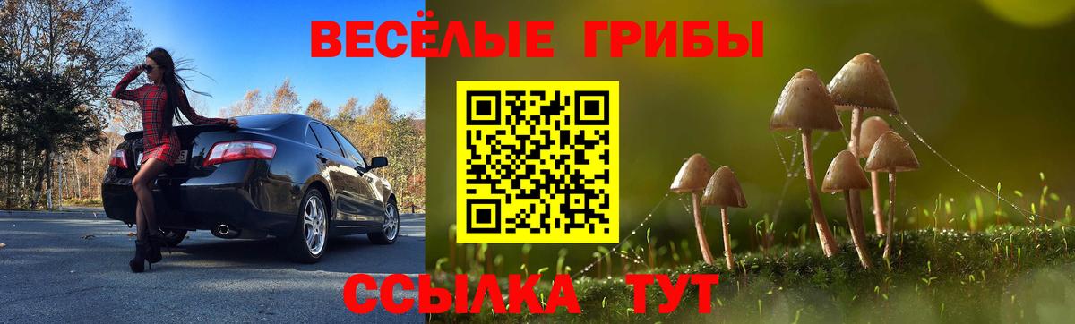 Галлюциногенные грибы Psilocybe  закладка  Энгельс  Вход с VPN  Псилоцибиновые грибы Cubensis 